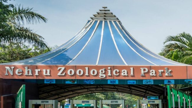 nehru zoological park ticket price